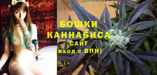 ГАЛЛЮЦИНОГЕННЫЕ ГРИБЫ Балабаново