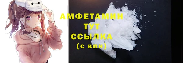 крисы Баксан