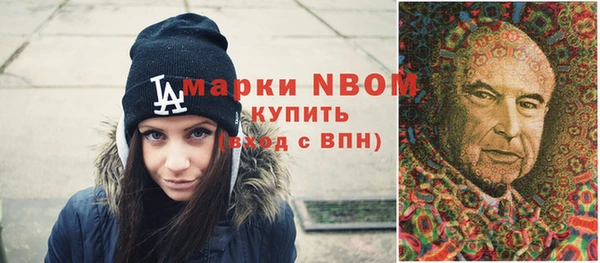 крисы Баксан