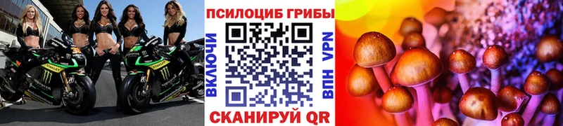 ссылка на мегу зеркало Красноуфимск Галлюциногенные грибы ЛСД